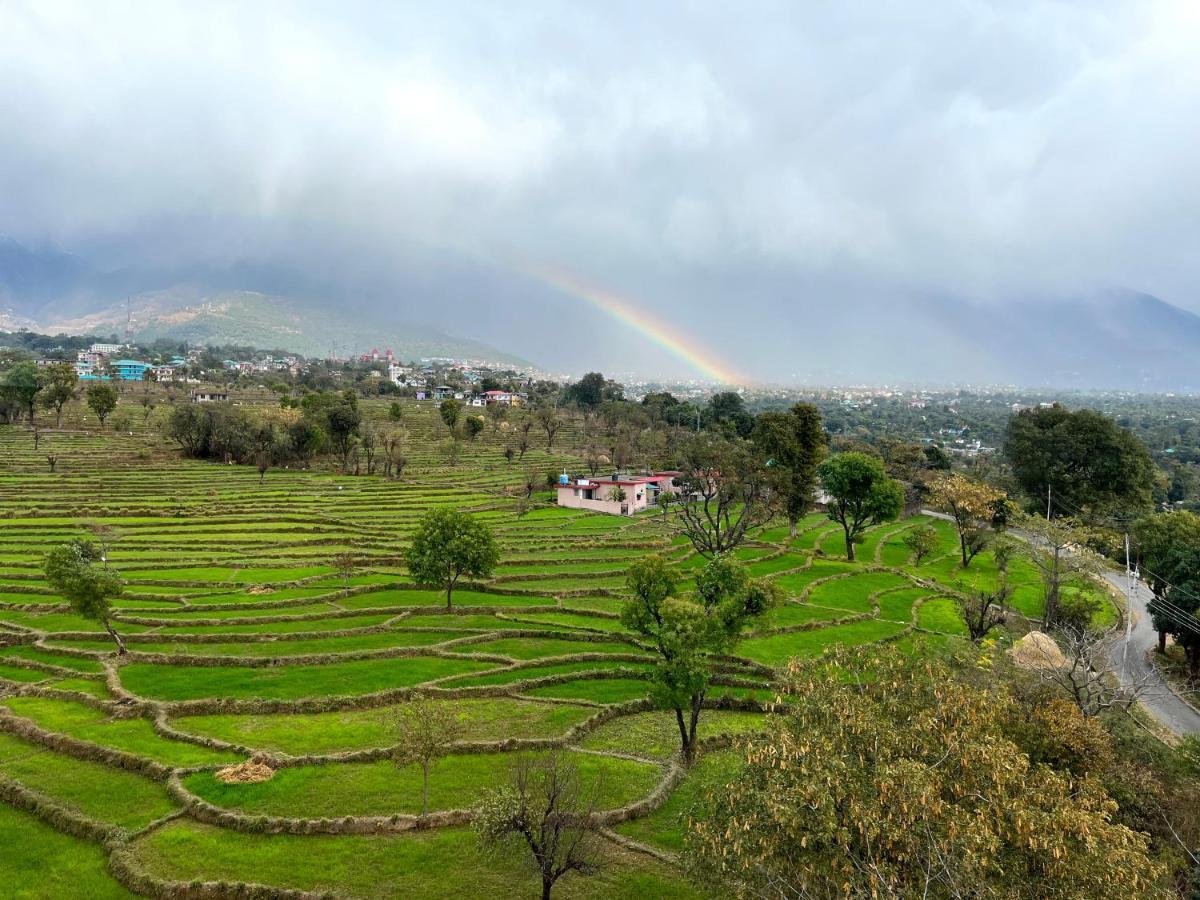 Click Collection The Abode, Dharamshala Hotel Bagian luar foto